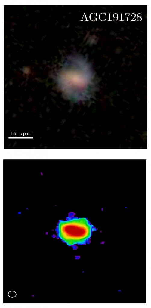 Comparison between the stellar (top) and molecular hydrogen (bottom) distribution in a very gas-rich galaxy (AGC191728) that is three billion years younger than the Milky Way. Optical data (top row) is from the Sloan Digital Survey whereas the molecular hydrogen map (bottom row) was observed by the Atacama Large Millimetre Array.