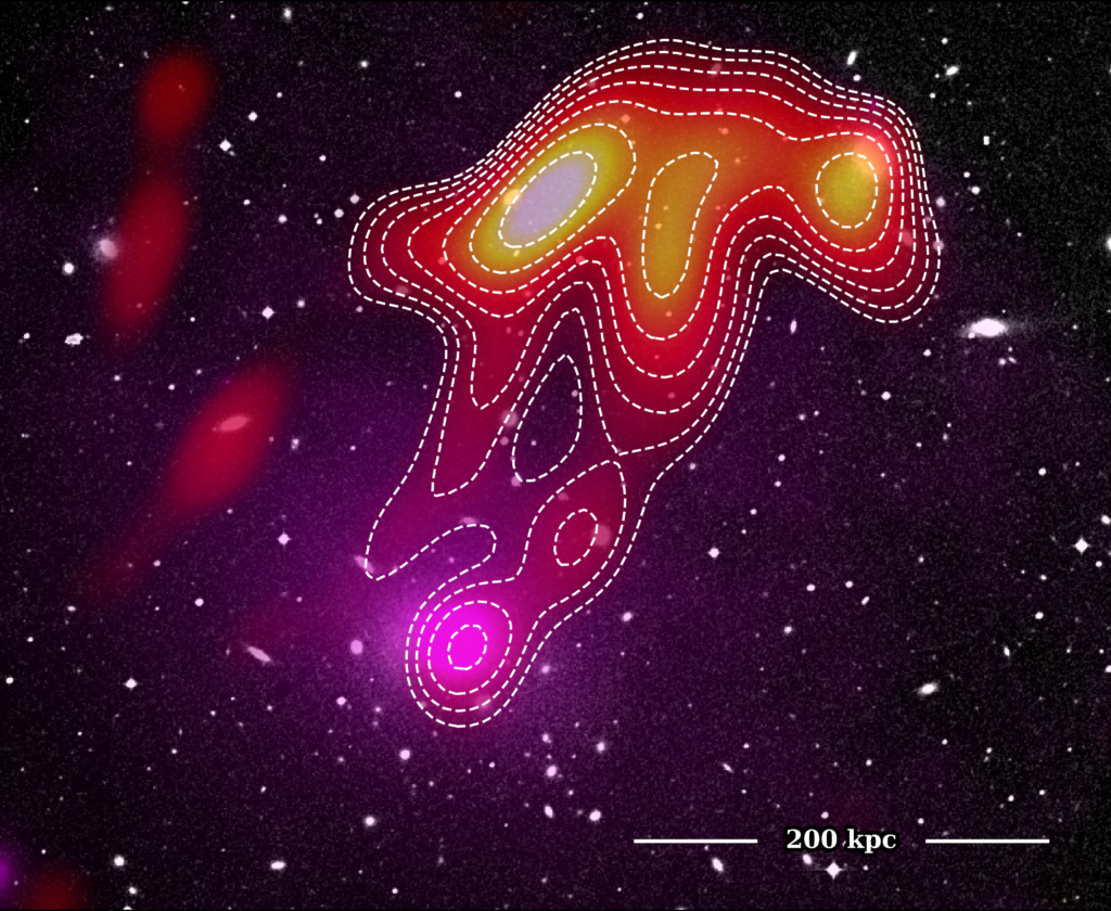 A composite image of the USS Jellyfish in Abell 2877 showing the optical Digitised Sky Survey (background) with XMM X-ray data (magenta overlay) and MWA 118 MHz radio data (red-yellow overlay).