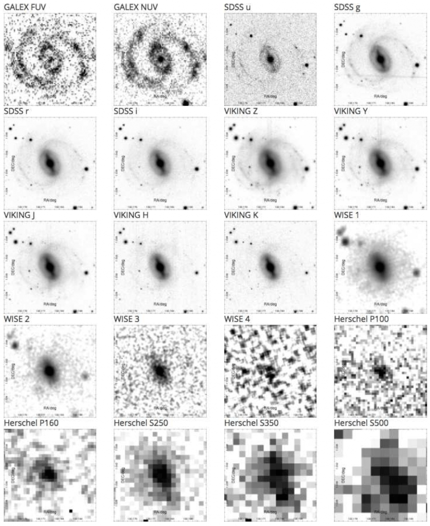 A galaxy from the GAMA survey observed at 20 different wavelengths from the far ultraviolet to the far infrared. Credit: ICRAR / GAMA.