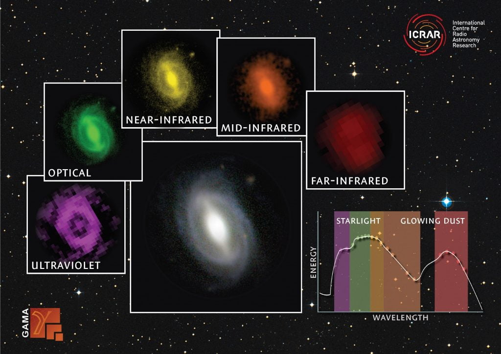 A galaxy from the GAMA survey observed at different wavelengths from the far ultraviolet to the far infrared. The inset graph shows how much energy is being generated at the different wavelengths. Credit: ICRAR / GAMA.