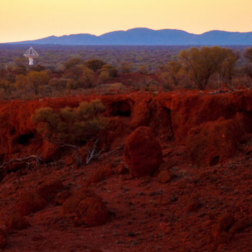 Visitors Image