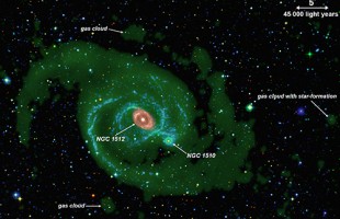 Galaxy’s snacking habits revealed