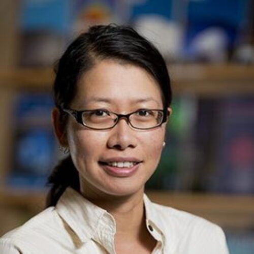 Dr Ivy Wong <br>SUPER SCIENCE FELLOW Image