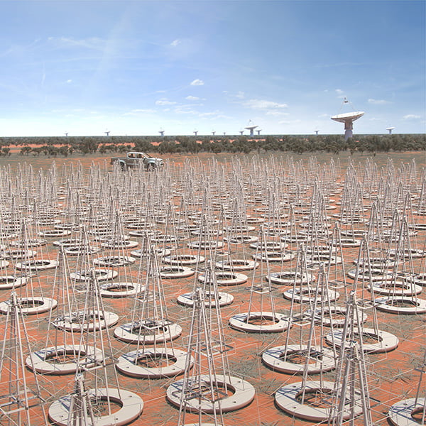 Artists impression of Christmas tree-shaped low frequency antennas of the SKA.
