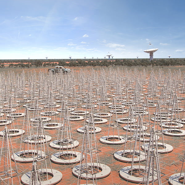 Artists impression of Christmas tree-shaped low frequency antennas of the SKA.