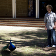 Blog: Dillon Brown