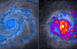 New spin on star-forming galaxies