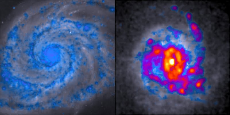 Regular spiral galaxies, such as the 'whirlpool galaxy' on the left, form far fewer stars than the clumpy galaxy on the right. The blue regions have the least star-forming gas and red-yellow regions have the most. Credit: Dr Danail Obreschkow, ICRAR. Image uses data from the Hubble Space Telescope.