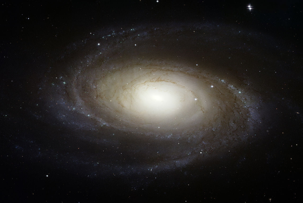Galaxy M81, an example of a 'fat' bulgy galaxy. Credit: NASA, ESA and the Hubble Heritage Team (STScI/AURA). Download an ultra high resolution version (22,620pxx15,200px).