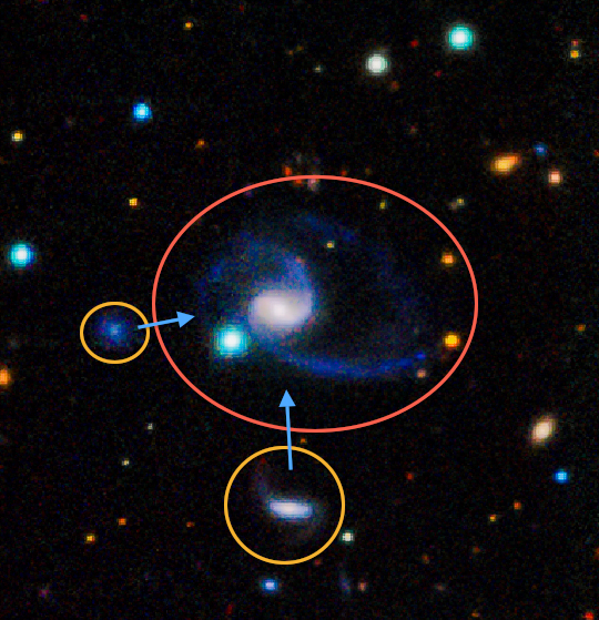 This image shows one of the two ‘exact matches’ to the Milky Way system found in the survey. The larger galaxy, denoted GAMA202627, which is similar to the Milky Way clearly has two large companions off to the bottom left of the image. In this image bluer colours indicate hotter, younger, stars like many of those that are found in our galaxy. Image Credit: Dr Aaron Robotham, ICRAR/St Andrews using GAMA data.