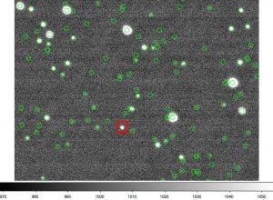This image was captured with the Zadko telescope during the event. The green squares are known sources and red square shows the bright "unknown" source responsible for the Gamma Ray Burst. Credit: David Coward.