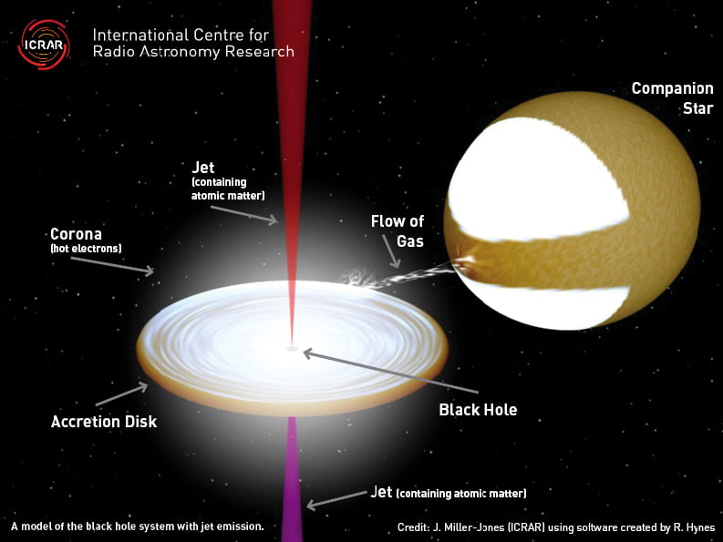 Contacts:The same model with labels showing the different components of the black hole system where the jets are active. Credit: J. Miller-Jones (ICRAR) using software created by R. Hynes.
