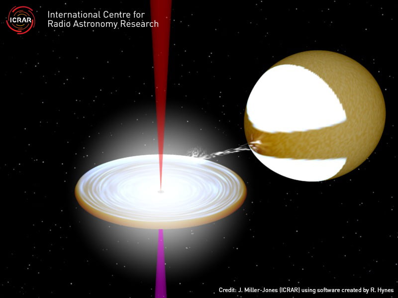 A model of the black hole system with the jets that have been found to contain atomic matter. Credit: J. Miller-Jones (ICRAR) using software created by R. Hynes.