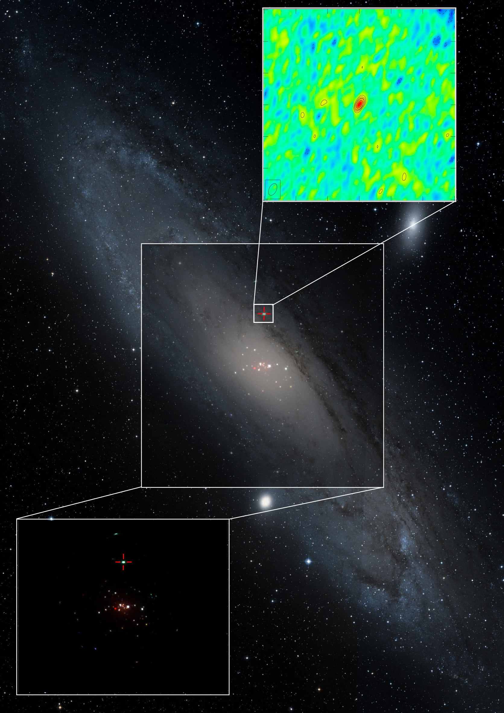 A composite image of our neighbouring galaxy, Andromeda, showing different views of the Ultraluminous X-ray (ULX) source. The background image is an optical (visible) light picture of Andromeda, with the X-ray image (bottom left) taken with the Earth-orbiting XMM-Newton X-ray telescope superimposed. Colours in the X-ray image correspond to different X-ray energies, with red being least energetic and blue being most energetic. The ULX is indicated by the cross-hairs. At the top right is the radio image of the black hole taken with the Very Long Baseline Array radio telescope, showing that the radio emission was coming from an extremely small region of space, and leading the team to infer that the extraordinary amount of X-ray emission they observed was produced by a relatively modest-sized black hole. Image Credit: X-rays: ESA/M. Middleton et al., Radio: NRAO/M. Middleton et al., Optical: Aladin/STScI DSS. 