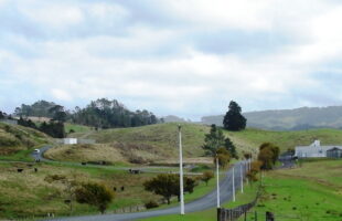 Dish repurposed in New Zealand