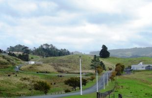 Dish repurposed in New Zealand