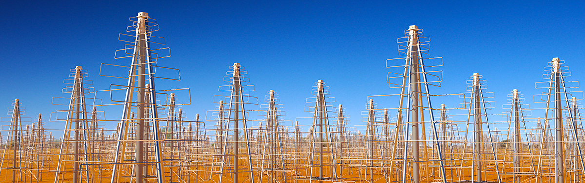 Artist's impression of the low frequency portion of the Square Kilometre Array (SKA-low) which will be constructed in Australia. In the latter part of this decade, 250,000 of these person-height antennas will be built in Western Australia and observe the Universe at radio wavelengths. Image Credit: Swinburne Astronomy Productions/ICRAR/U. Cambridge/ASTRON.