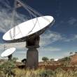 Science with Continuum and Polarisation Radio Surveys