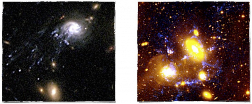 Galaxies in transformation discovered by the ICRAR/UWA group. Left: The comet (or jelly-fish) galaxy, an extraordinary object infalling into the centre of a cluster. The tail departing from the galaxy is made of clusters of new stars formed within the gas stripped from the galaxy (Cortese et al. 2007). Right: The compact group of galaxies showing the highest star formation rate density ever observed in the local Universe. The features highlighted in blue represent streams of ionised gas that extends for almost hundred thousands light-years outside the galaxies (Cortese et al. 2006).