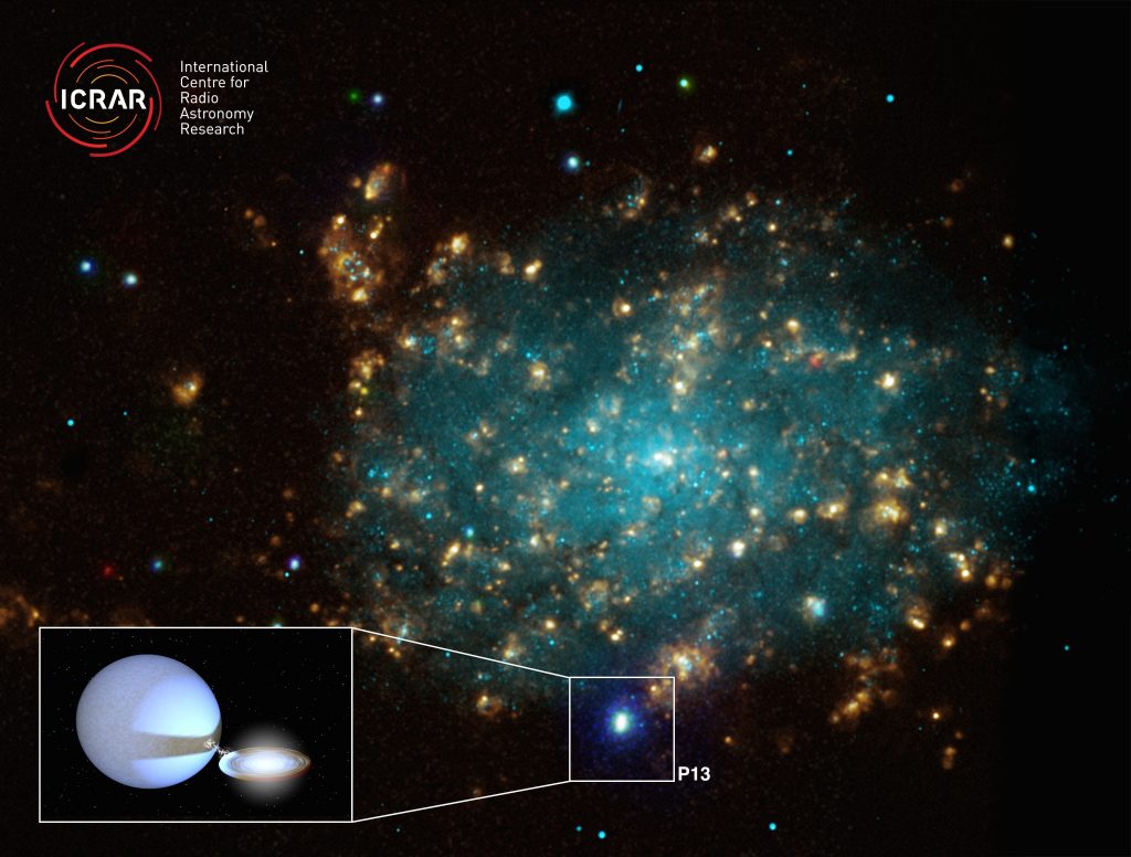 Primary Image: A combined optical/X-ray image of NGC 7793 Credit: X-ray (NASA/CXC/Univ of Strasbourg/M. Pakull et al); Optical (ESO/VLT/Univ of Strasbourg/M. Pakull et al); H-alpha (NOAO/AURA/NSF/CTIO 1.5m) Inset image: A rendering of what P13 would look like close up. Credit: created by Tom Russell (ICRAR) using software created by Rob Hynes (Louisiana State University).