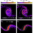 Environmental effects on galaxy evolution at multi-wavelengths