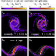 Environmental effects on galaxy evolution at multi-wavelengths