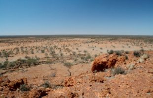 Spectrum management in the Mid West Radio-Quiet Zone