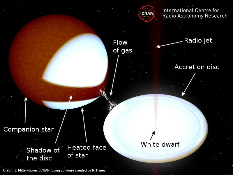 Schematic diagram of the white dwarf binary system SS Cygni. The two stars are close enough to one another that gas falls in from the companion star and swirls around the white dwarf in an accretion disc. The disc gets very hot, producing radiation that illuminates the surface of the companion star and heats it up. Gas from the inner part of the disc is accelerated outwards in fast-moving, oppositely-directed jets, which produce the radio waves that the astronomers used to study the star system and measure its distance from Earth. Image credit: J. Miller-Jones (ICRAR), using software created by R. Hynes.