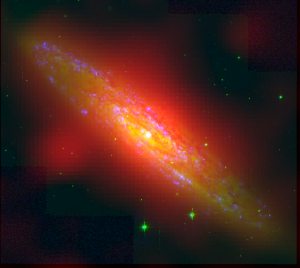 NGC253 starburst galaxy in optical (green; SINGG Survey) and radio (red; GLEAM) wavelengths. The H-alpha line emission, which indicates regions of active star formation, is highlighted in blue (SINGG Survey; Meurer+2006). Credits: A.D. Kapinska, G. Meurer. ICRAR/UWA/CAASTRO.