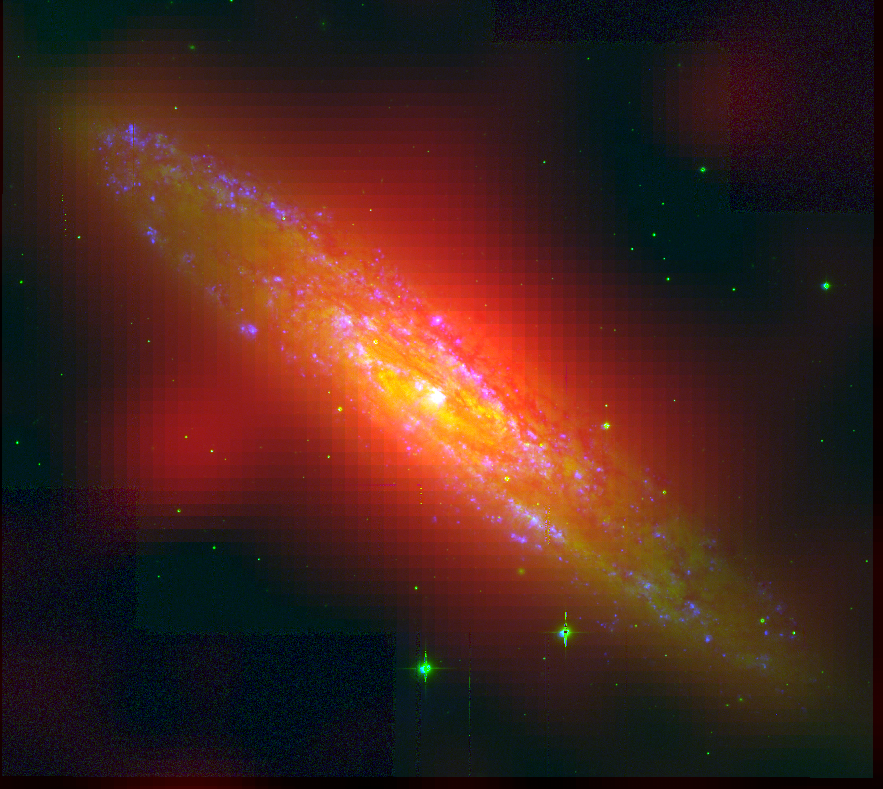 NGC253 starburst galaxy in optical (green; SINGG Survey) and radio (red; GLEAM) wavelengths. The H-alpha line emission, which indicates regions of active star formation, is highlighted in blue (SINGG Survey; Meurer+2006). Credits: A.D. Kapinska, G. Meurer. ICRAR/UWA/CAASTRO.