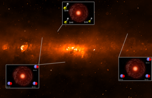 Hunting Molecules with the MWA