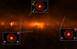 Hunting Molecules with the MWA