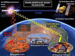 Flow diagram depicting the rapid-response observing system required for detecting prompt radio emission from SGRBs. Following a SGRB (1), Swift will detect the event (2) and then transmit its position down to Earth (3). This positional information will then be received by MWA and ATCA (with future plans for ASKAP), resulting in radio observations of the event with response times within minutes of the burst’s detection (4).