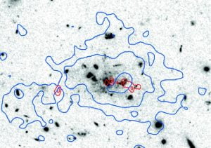 The Spiderweb galaxy (aka PKS1138-262) so called as this Hubble Space Telescope image gives it the appearance of flies being caught in its gravitational web. This proto-cluster is forming at just 3.5 billion years after the Big Bang and was discovered via its powerful radio emission (seen from the red contours). This project aims to use polarised radio observations to probe the intra-cluster medium in this system and possibly others. Picture credit: George Miley