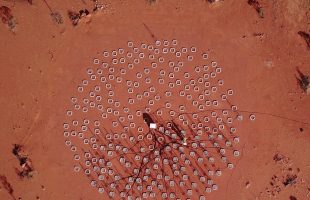 Designing The SKA Telescopes – From Lab To Outback: The Story Of AAVS1 So Far