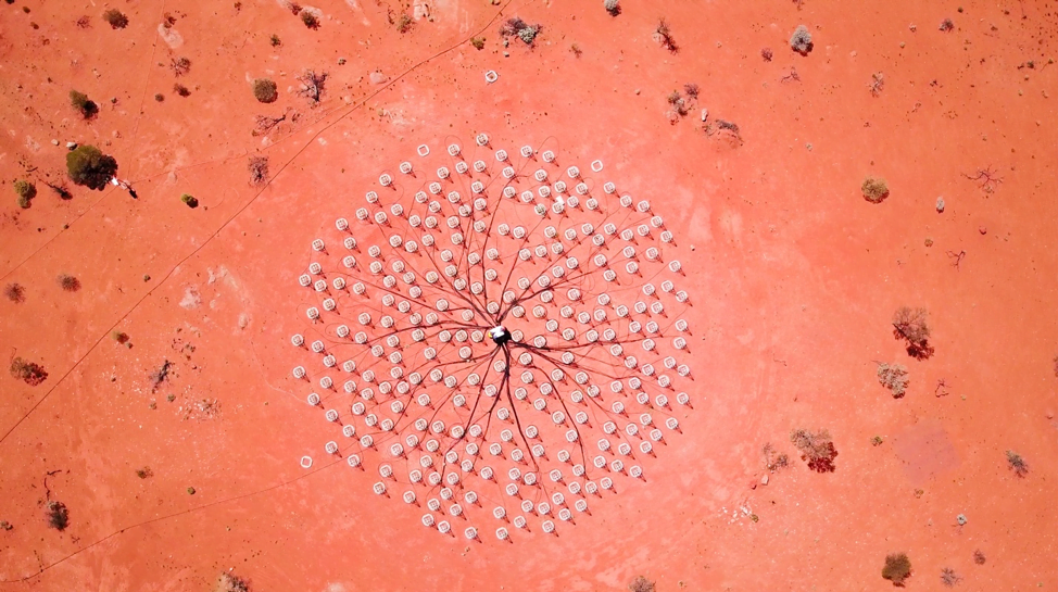 A full station of 256 antennas at CSIRO’s Murchison Radio-astronomy Observatory in outback Western Australia. The demonstrator is used to help test and finalise the design of the low frequency antennas for the SKA. Credit: ICRAR/Curtin University