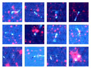 Fourteen radio galaxy predictions ClaRAN made during its scan of radio and infrared data. All predictions were made with a high ‘confidence’ level, shown as the number above the detection box. A confidence of 1.00 indicates ClaRAN is extremely confident both that the source detected is a radio galaxy jet system and that it has classified it correctly. Credit: Dr Chen Wu and Dr Ivy Wong, ICRAR/UWA. 