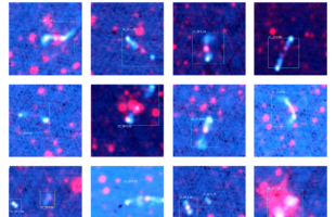 Artificial intelligence bot trained to recognise galaxies