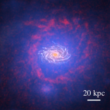 Galaxy formation in state-of-the-art cosmological hydrodynamical simulations