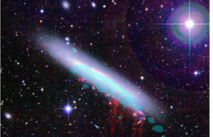 First Canadian-led ALMA Survey to Investigate the Impact of Galaxy Environment on Star Formation