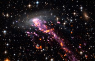 ALMA explores a Cosmic Jellyfish