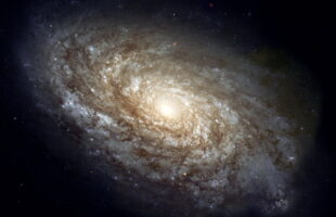 Early disk galaxy puts formation models in a spin