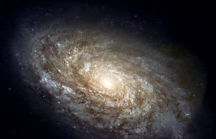 Early disk galaxy puts formation models in a spin