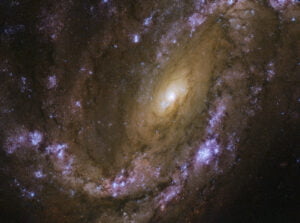 A spiral galaxy named NGC 4051
