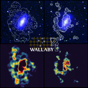 WALLABY Logo showing HI images of galaxies
