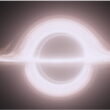 Do low mass galaxies harbour black holes?