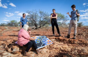 ICRAR researchers finalists in Premier’s Science Awards