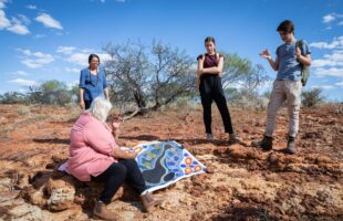 ICRAR researchers finalists in Premier’s Science Awards