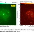 Modelling the radio emission of star-forming galaxies