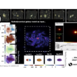 Mocking the Universe: Constructing realistic observations of simulated galaxies for the MAGPI survey